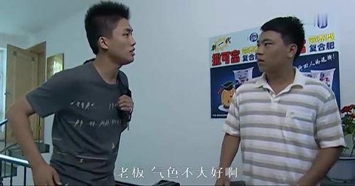 乡村名流演员表